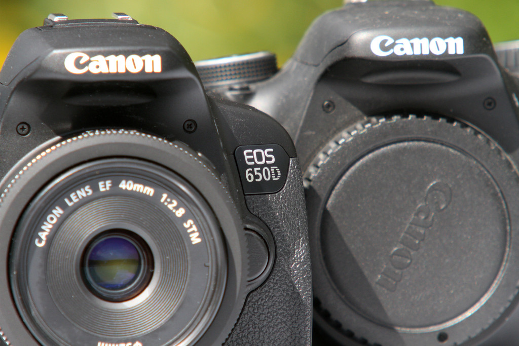 … Canon EF 200/2,8 L USM, beide mit 2x-Konverter, ist sichtbar unschärfer, wenn auch beide Objektive tatsächlich noch akzeptable Ergebnisse liefern.
