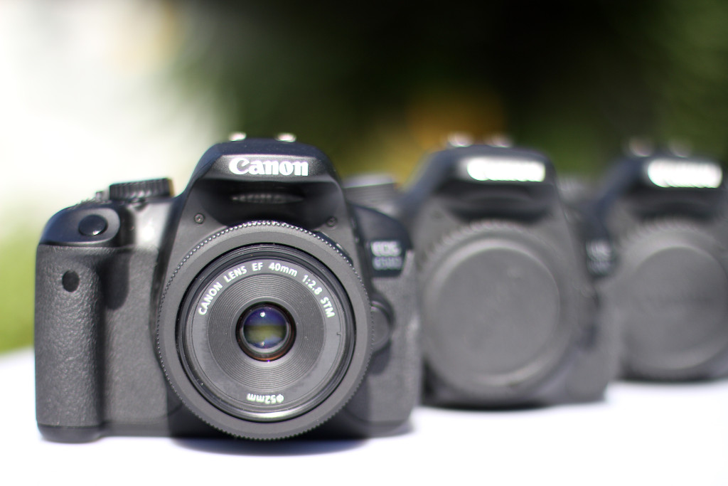 Aufnahme mit einem Canon EF 50/1,4 bei Blende f/1,4 – diese Aufnahme zeigt im Vergleich das enorme Freistellungspotenzial der Offenblende f/1,4.