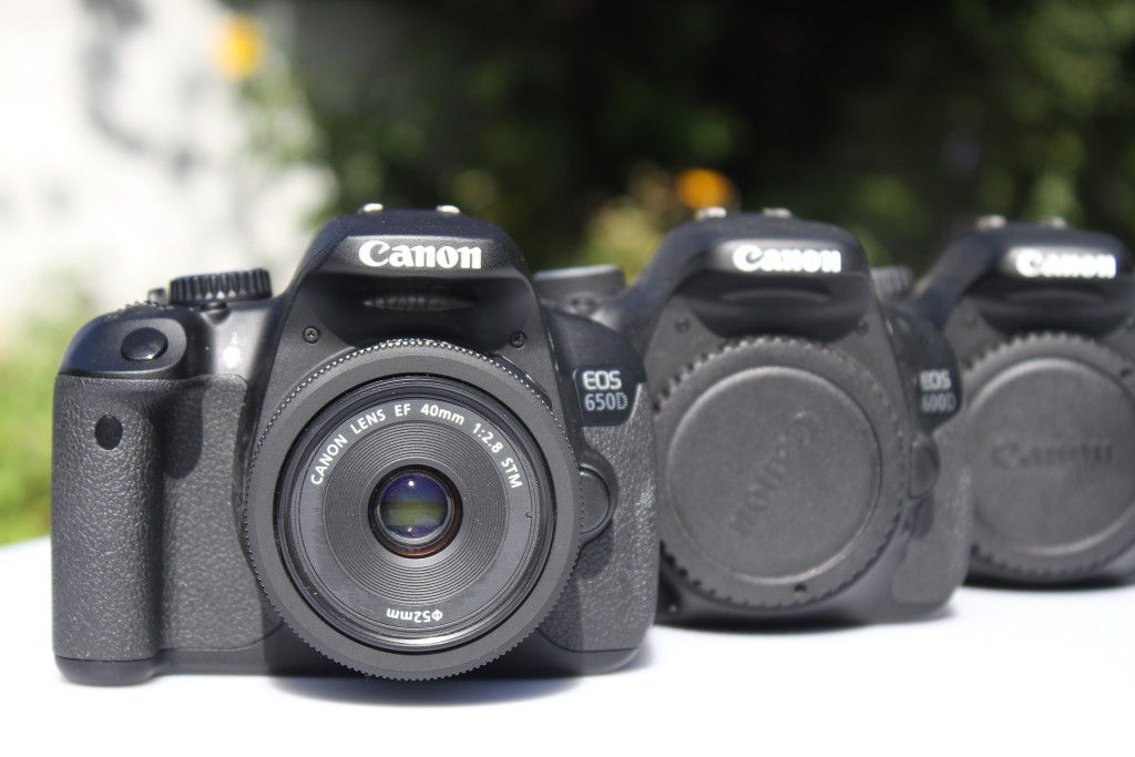 Aufnahme mit Canon EF S 18 – 55/4,5–5,6 bei Blende f/5,6 – Kostenpunkt ca. 40 € für das Objektiv (im Kit) oder rund 90 € bei Einzelbestellung