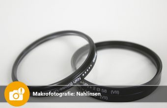 Makrofotografie: Nahlinsen