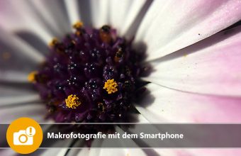 Makrofotografie mit dem Smartphone