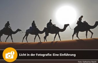 Licht in der Fotografie: Eine Einführung