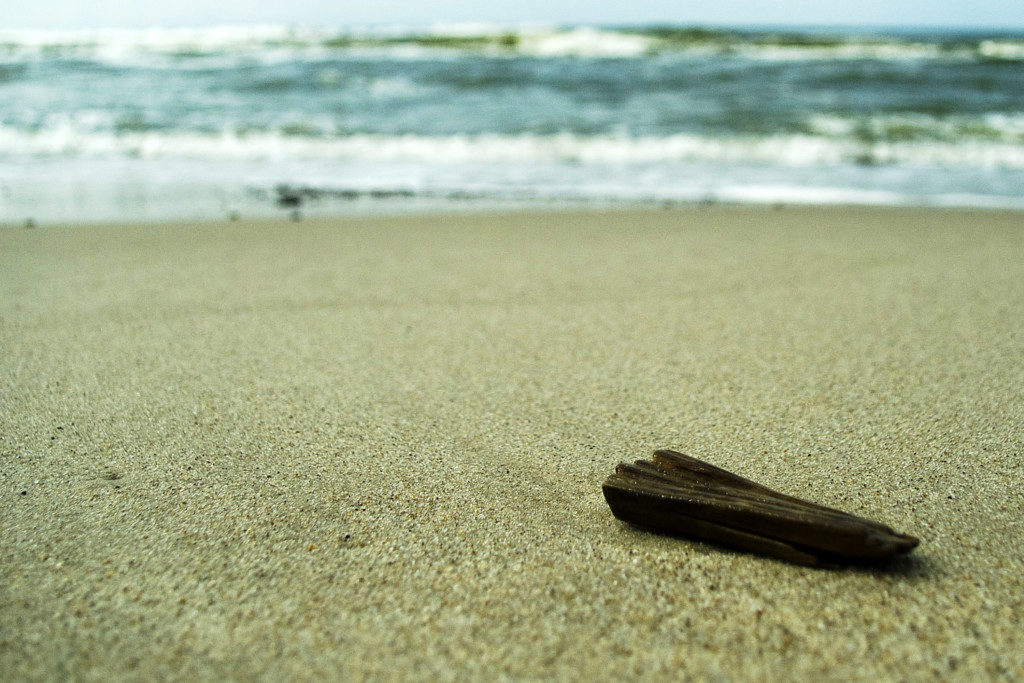 Landschaftsfotografie: bildkomposition strand und holzstück