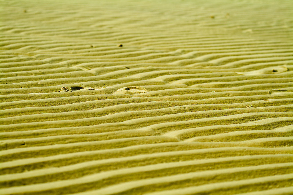 Landschaftsfotografie: spuren am strand