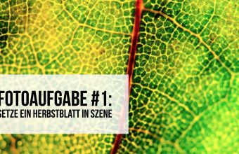 fotoaufgabe-1-teaser