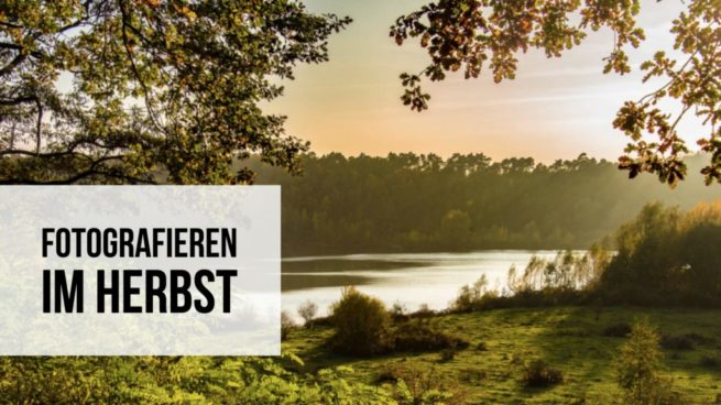 Herbst und Nebel fotografieren- fotocommunity Fotoschule