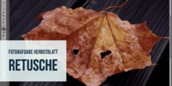Fotoaufgabe-Herbstblatt-Retusche