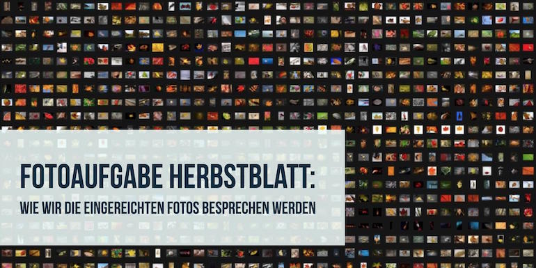 fotoaufgabe-wie-die-bilder-bewertet-werden
