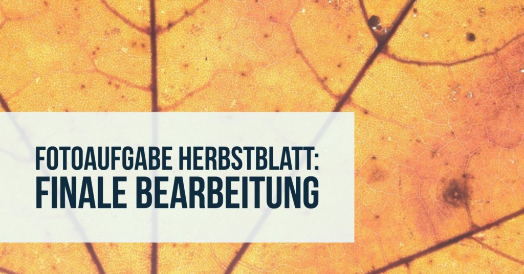 fotoaufgabe-herbstblatt-finale-bearbeitung-teaser