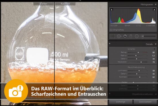 Das RAW-Format im Überblick: Scharfzeichnen und Entrauschen