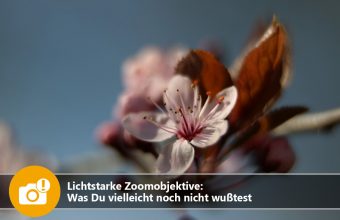 Lichtstarke Zoomobjektive: Was Du vielleicht noch nicht wusstest