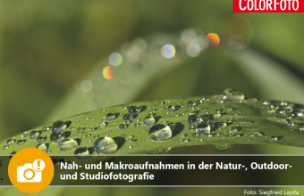 Nah- und Makroaufnahmen in der Natur-, Outdoor- und Studiofotografie