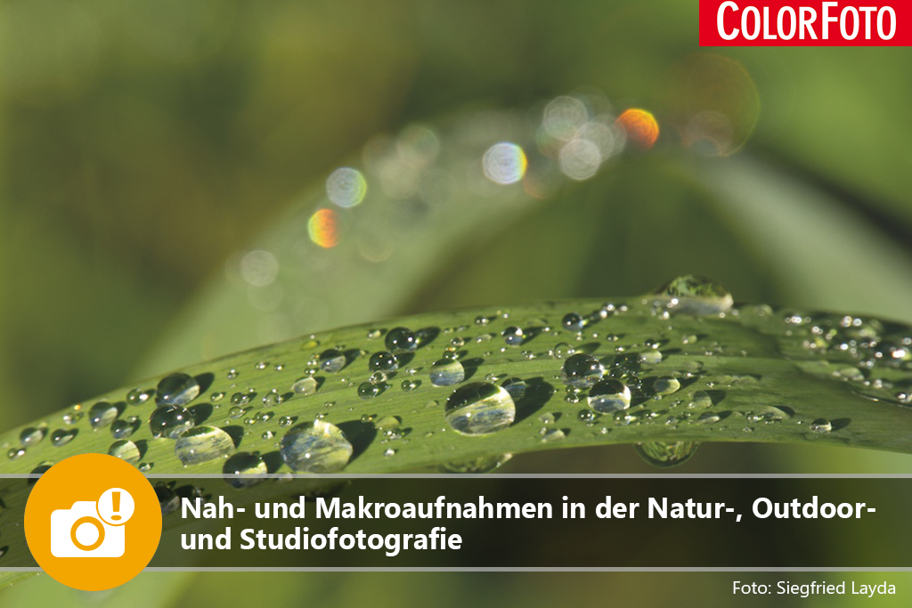 Nah- und Makroaufnahmen in der Natur-, Outdoor- und Studiofotografie