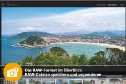 Das RAW-Format im Überblick: RAW-Dateien speichern und organisieren