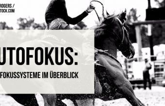 autofokus-autofokussysteme-im-ueberblick