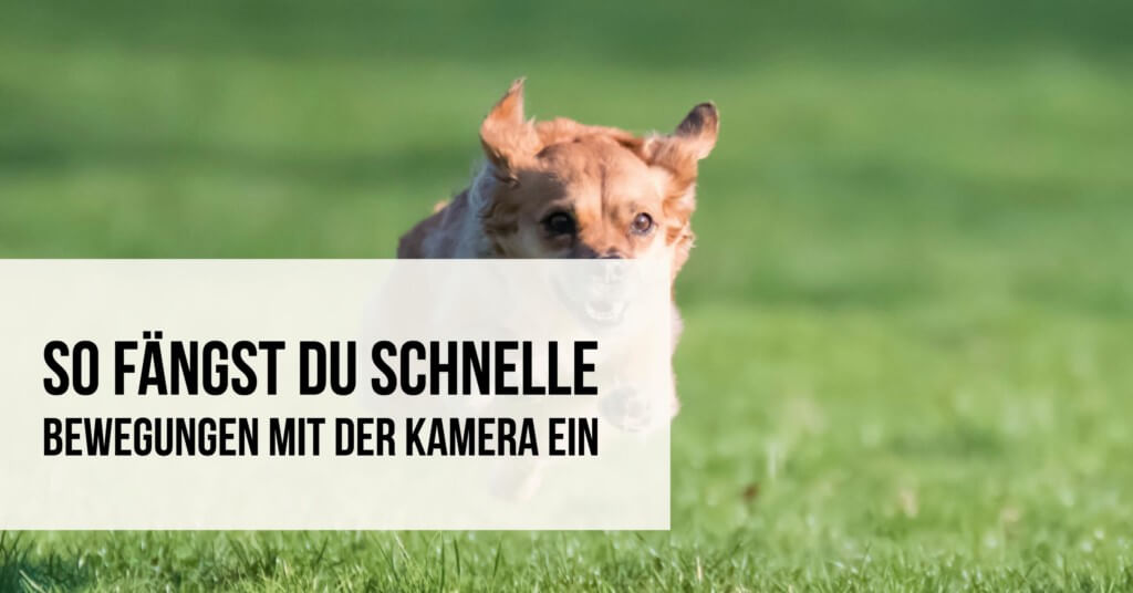 So fängst Du schnelle Bewegungen mit der Kamera ein