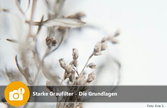 Starke Graufilter – Die Grundlagen