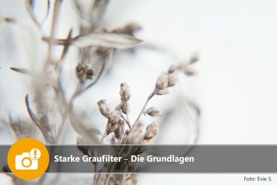 Starke Graufilter – Die Grundlagen