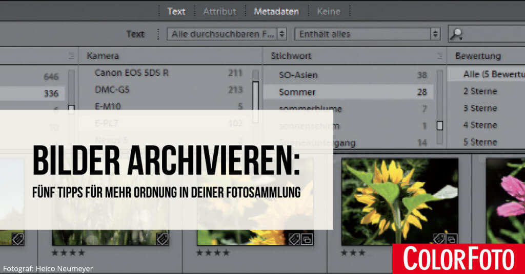 Mehr Ordnung In Deiner Fotosammlung Fotocommunity Fotoschule