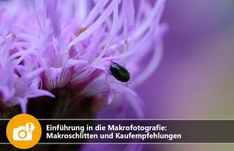 Einführung in die Makrofotografie: Makroschlitten und Kaufempfehlungen