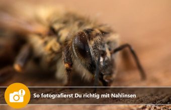 So fotografierst Du richtig mit Nahlinsen