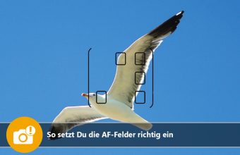 So setzt Du die AF-Felder richtig ein