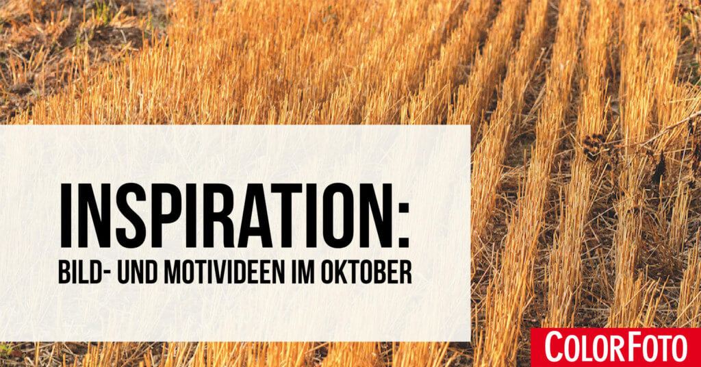 inspiration-motivideen-oktober