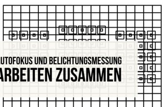 Autofokus und Belichtungsmessung arbeiten zusammen – Teaser