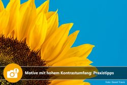 Motive mit hohem Kontratsumfang: Praxistipps