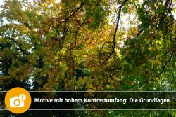 Motive mit hohem Kontrastumfang: Die Grundlagen