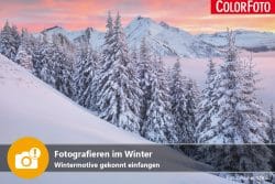 Fotografieren im Winter - Wintermotive gekonnt einfangen