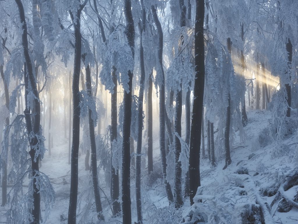 Fotografieren im Winter: Sonne und Nebel