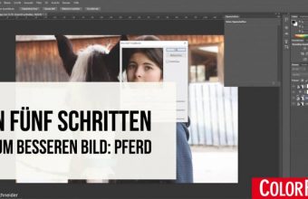 besseres-bild-pferd-teaser