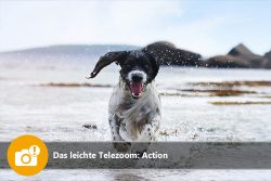 Das leichte Telezoom: Action