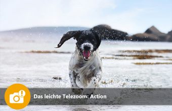 Das leichte Telezoom: Action