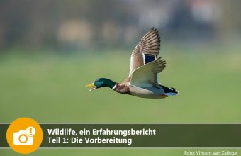 Wildlife, ein Erlebnisbericht – Teil 1: Die Vorbereitung