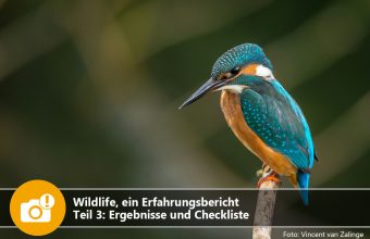 Wildlife, ein Erlebnisbericht – Teil 3: Ergebnisse und Checkliste