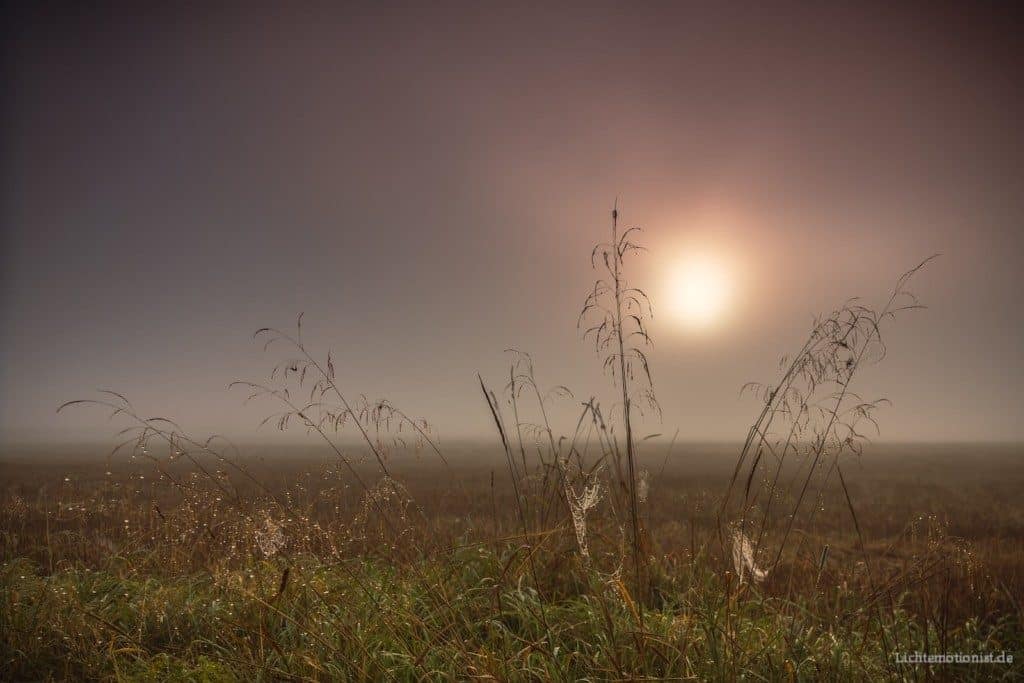 Die Sonne geht in Naturszene auf