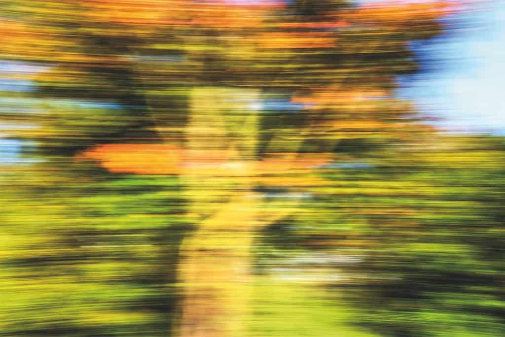 Herbstlaub in Langzeitbelichtung