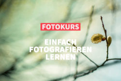 Online-Fotokurs: Einfach fotografieren lernen