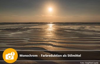 Monochrom – Farbreduktion als Stilmittel