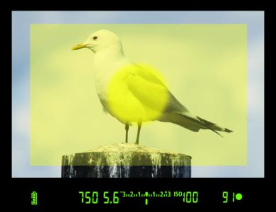Fotokurs Belichtung - Messmethoden richtig einsetzen