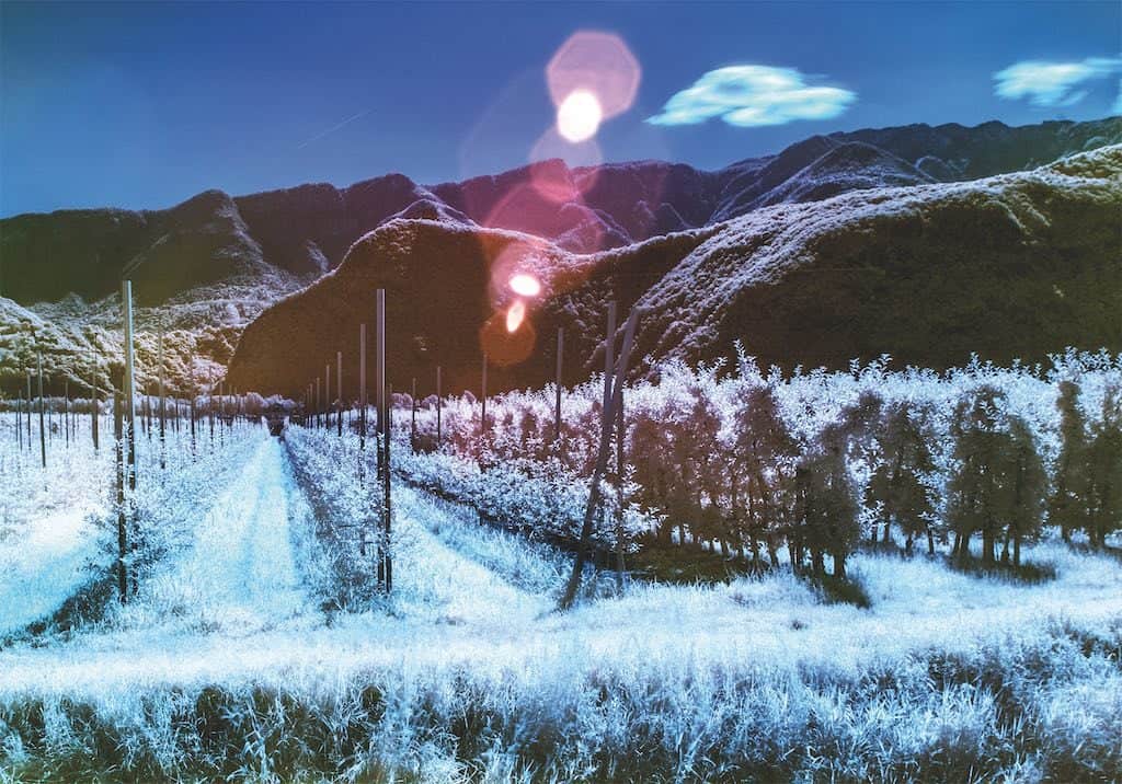Landschaft rot und blau dank der Infrarotfotografie