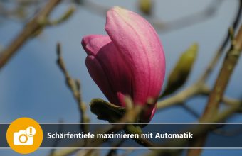 Makrofotografie - Schärfentiefe maximieren durch Automatik