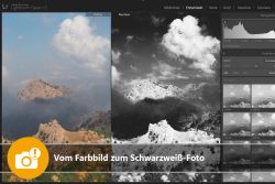 Vom Farbbild zum Schwarzweiß-Foto