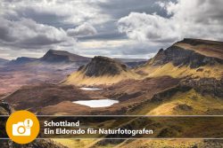 Schottland: Ein Eldorado für Naturfotografen
