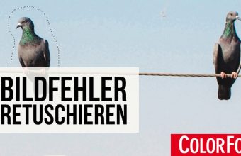 FS-Headergrafik_Bildfehler