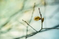 Fotokurs Fotografische Grundlagen Fotografieren Lernen