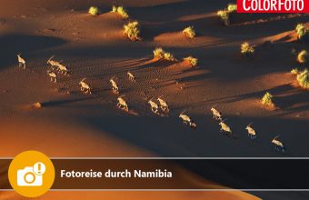 Fotoreise durch Namibia