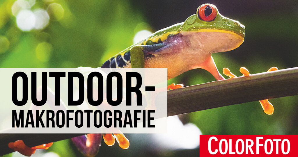 Outdoor-Makrofotografie